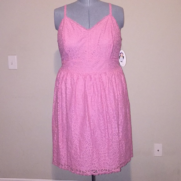 Ashley Nell Tipton Dresses & Skirts - Ashley Nell Tipton Pink Lace Dress